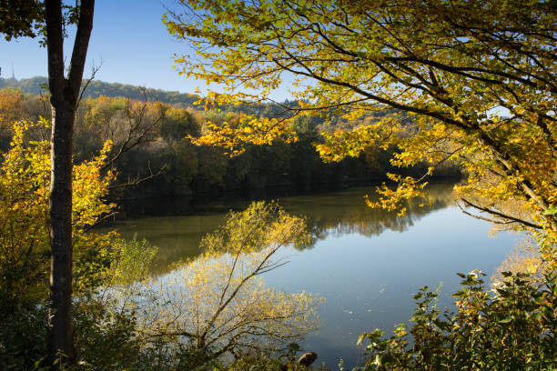 istock small lake in autumn 1040391784