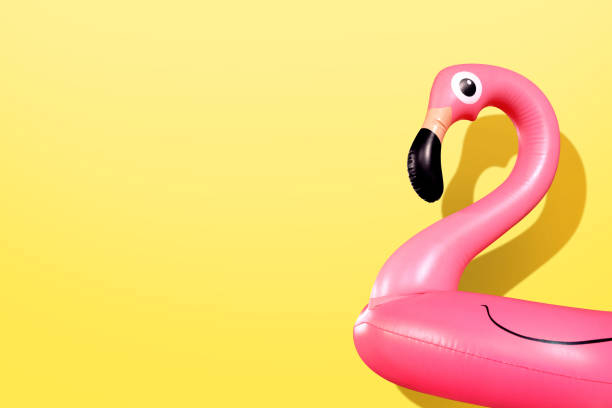 istock Inflatable flamingo 1040395168
