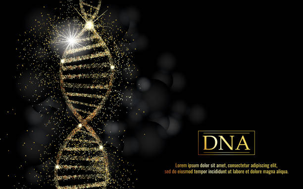 DNA sequence, DNA code structure with glow. DNA sequence, DNA code structure with gold glow. Science concept background. Nano technology. Vector illustration, black background with space for text dna nucleotide stock illustrations