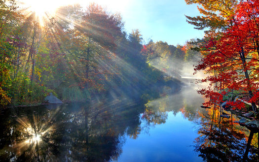 Peak fall foliage along the Sugar River in Sunapee New Hampshire