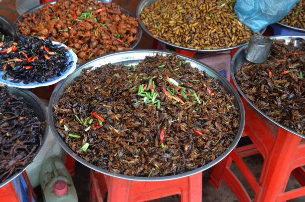 istock Deep Fried Asian insects, scorpions, spiders and worms 1040421930