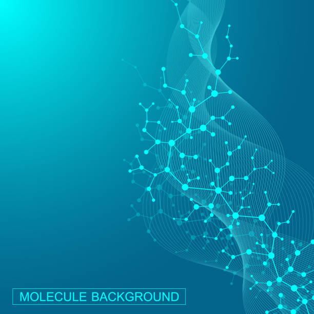 Scientific molecule background for medicine, science, technology, chemistry. Wallpaper or banner with a DNA molecules. Vector geometric dynamic illustration. Scientific molecule background for medicine, science, technology, chemistry. Wallpaper or banner with a DNA molecules. Vector geometric dynamic illustration dna nucleotide stock illustrations
