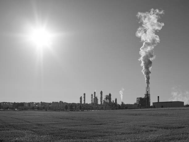 View over a mowed field to the modern chemical plant of DOW Olefinverbund GmbH with cracker in Boehlen in the early morning sun in July 2018