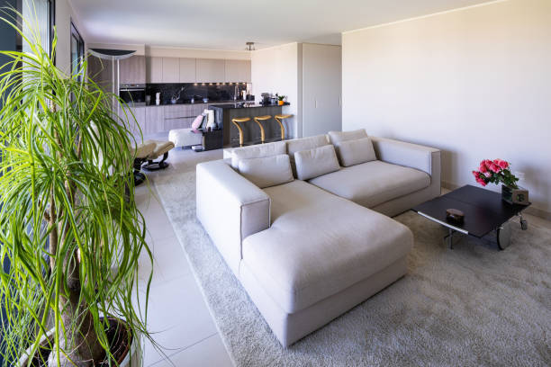 istock Living room and kitchen in open space, modern apartment 1040444572
