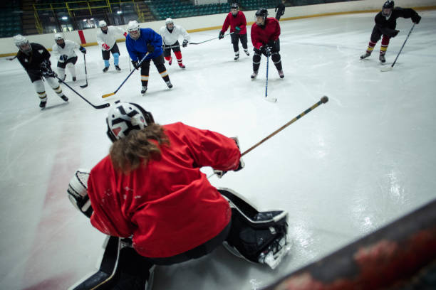 istock Protecting the Net from the Puck 1040449746