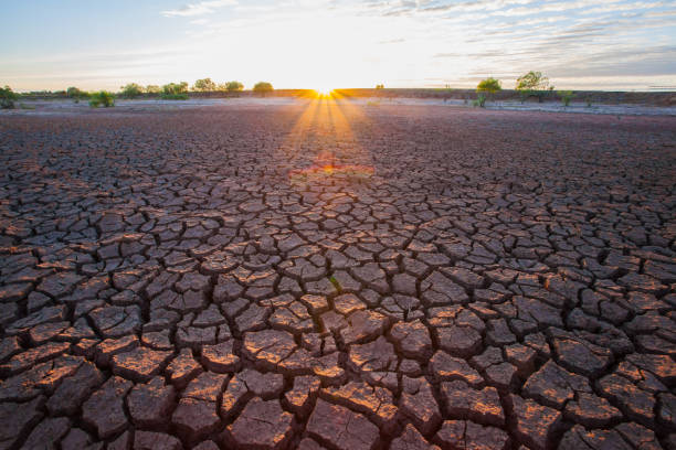 istock Soil crack on dry ground with sunset is shading background 1040450476