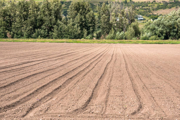 istock Ploughed Filed on a Sunny Summer Day 1040460574