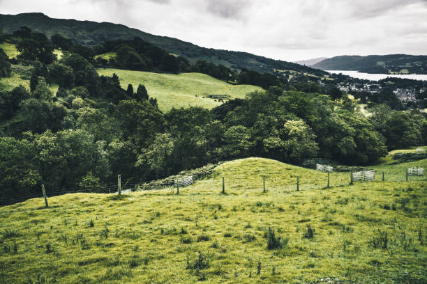 Green hills and pastures in the Lake District