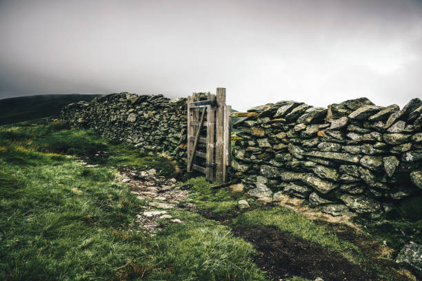 istock Small Wooden Gate In The Wall. 1040472962
