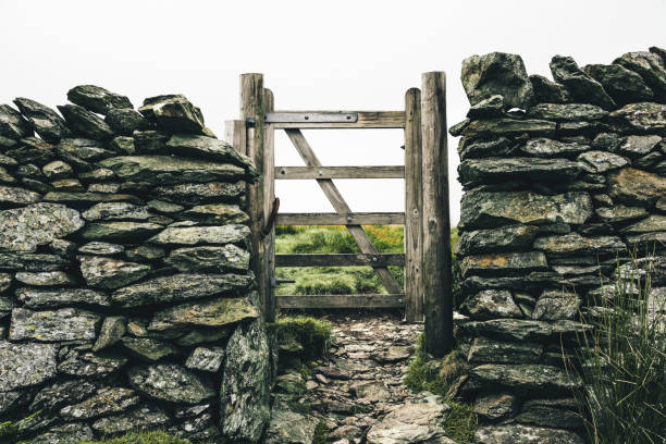 Wooden gate in the wall