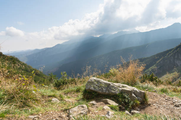istock rock on a clearing and mountains covered with fog 1040474142