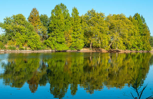 istock Autumn forest is reflected in the water 1040481468