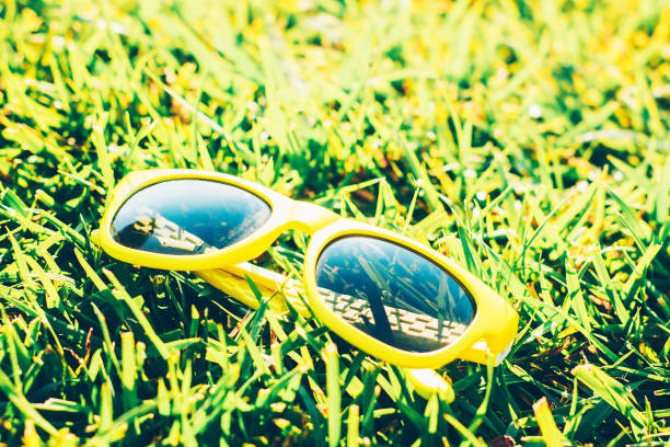 istock Fashion sunglasses on the grass 1040509038