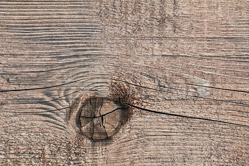 Photograph of old, weathered, cracked, roughly treated, bleached, knotted Pine wood plank, grunge texture detail.