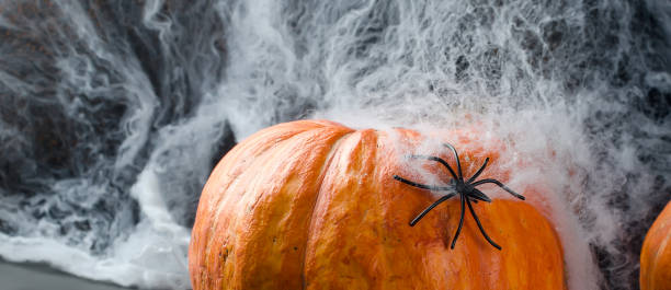 istock Autumn pumpkins, web and spider in black 1040515992
