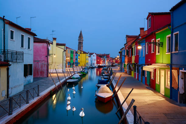 Colorful Houses of Burano with Swans, Venice, Italy. stock photo