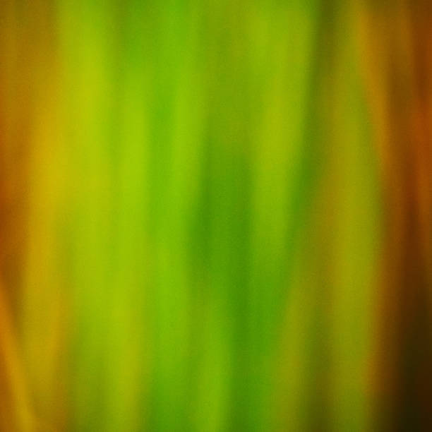 Blurred Grass Abstract stock photo