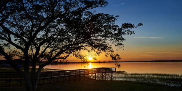 Silhouetted Tree and Pier on a Lake at Sunset or Sunrise stock photo