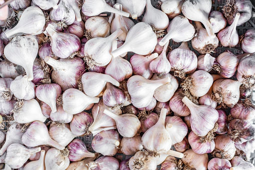 White garlic texture. Fresh garlic on market table closeup photo. Vitamin healthy food spice image. Spicy cooking ingredient picture.  White garlic head heap top view.