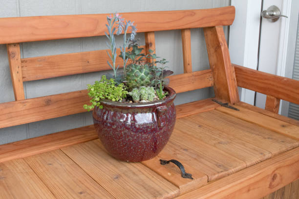 istock A radiant colored plant rests in its pot sitting on an outside bench. 1040570300