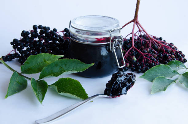 elderflower jam - tree isolated maple tree green imagens e fotografias de stock