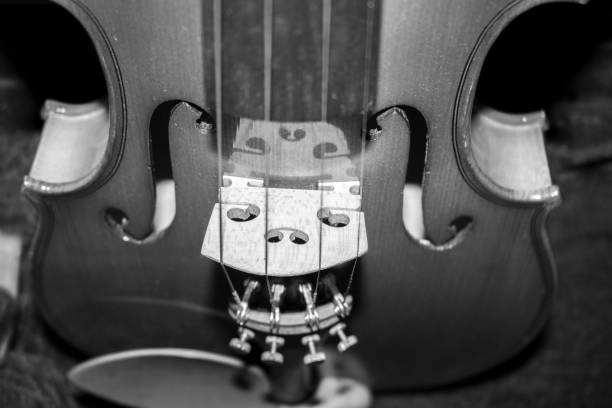 istock parts of a violin 1040596826