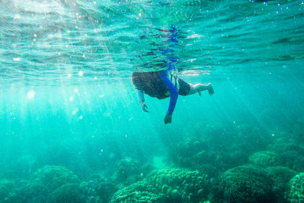 istock Snorkeling in Lipe 1040600796