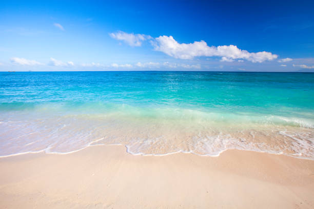 istock beach and beautiful tropical sea 1040604204