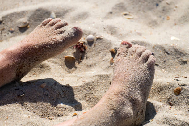 istock Children's feet covered with sea sand 1040604468