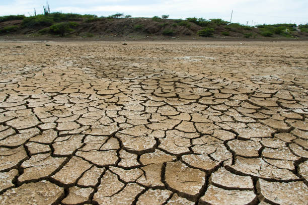 istock Scorched dry soil, landscape with mountain on background. Arid and broken 1040607828