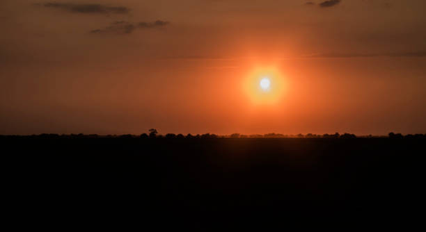 istock Sunset in the Ukrainian steppe (Ukraine, Rasseika) 1040609056