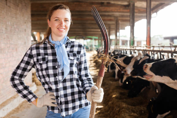 istock Female farmer on dairy farm 1040614112