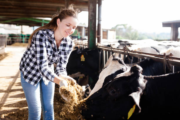 istock Woman working on dairy farm 1040614130