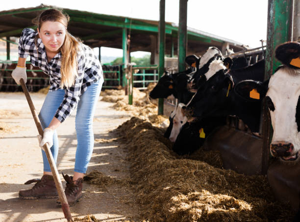 istock Woman working on dairy farm 1040614144