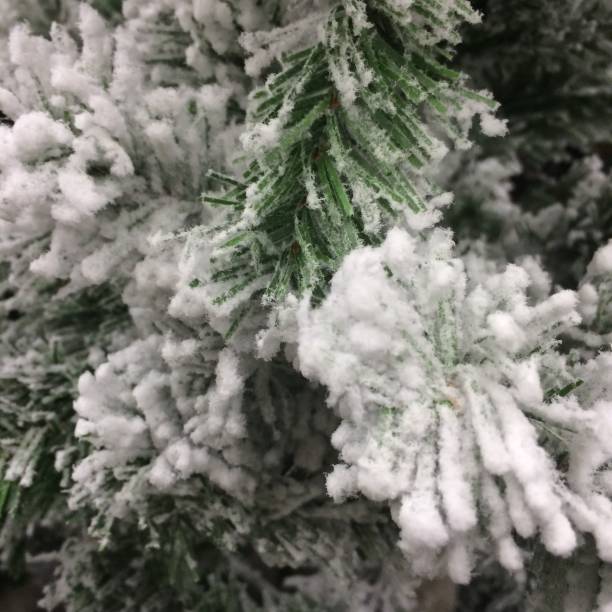 istock snowy winter landscape in christmas 1040625764