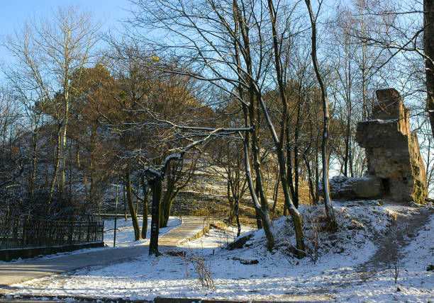 istock snowy winter landscape in christmas 1040625814