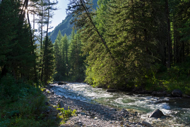 istock A small river in the Altai Mountains. Russia. 1040635178