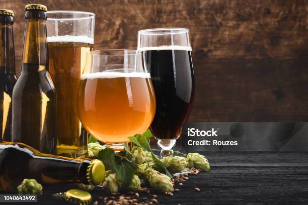 Glasses Of Beer With Green Hops And Wheat Stock Photo - Download Image Now - Beer - Alcohol, Craft Beer, Hops Crop