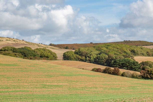 istock Isle of Wight Rural Landscape 1040647712