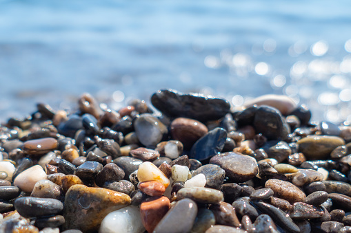 Beautiful wet multicolored sea pebbles on beach on sunny summer day