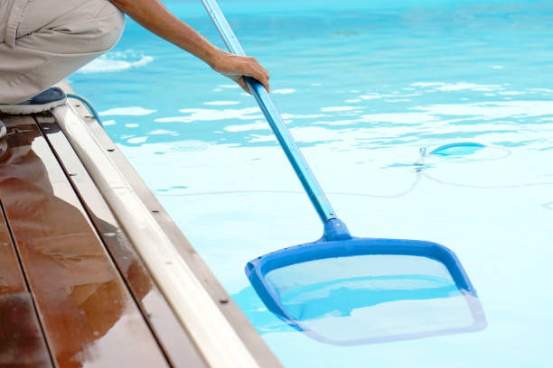 istock Hotel staff worker cleaning the pool 1040656326