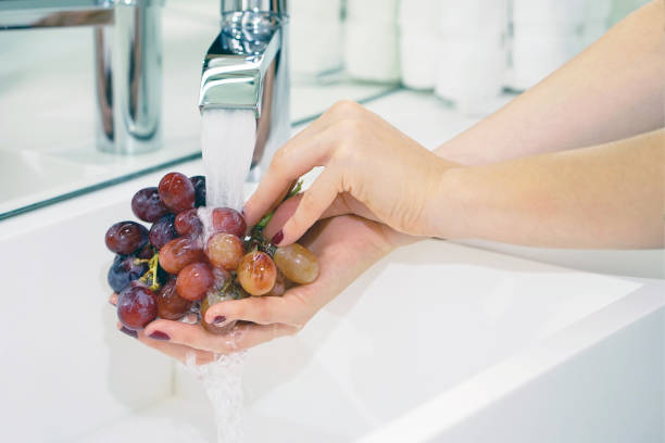 istock Girl washes the grapes under the tap 1040660652