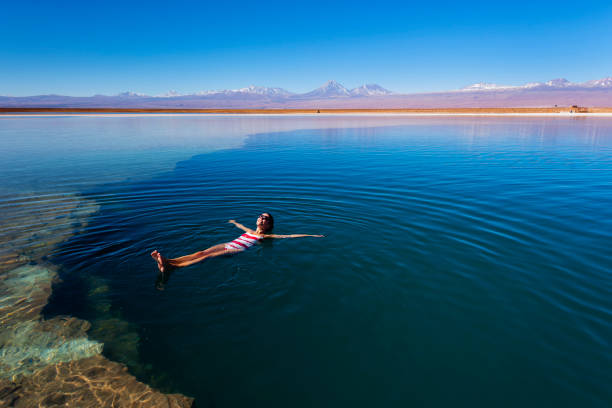 atacama desert - salt lagoon - volcanic landescape - oasis - wild life reserve - floating - san pedro imagens e fotografias de stock