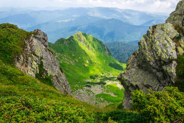 istock Landscape, travel, tourism. Green mountains, trees, grass. Horizontal frame 1040675390
