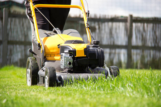 istock Lawn mower cutting green grass in backyard, garden service. 1040705684