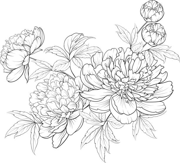 Spring flowers bouquet of contour style flower garland. Spring flowers bouquet of contour style flower garland. Label with peony flowers. Vector illustration. flower drawings stock illustrations