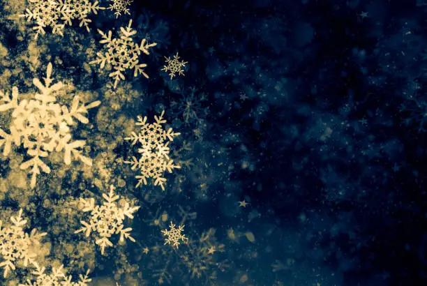 Photo of Christmas Background with Snowflakes