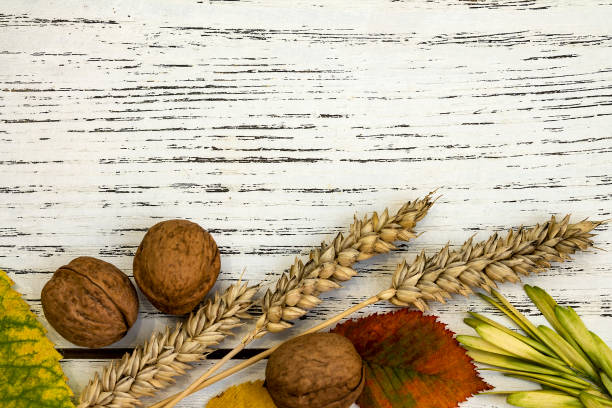 istock Fall harvest close up colorful frame or banner 1040725682