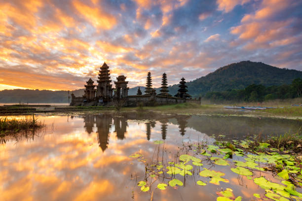 scenery of the mountainous and the fog in the morning