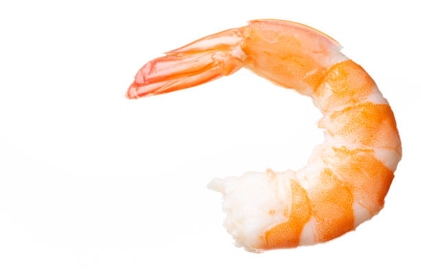 istock Shrimps. Prawns  on a White Background. Seafood 1040735352